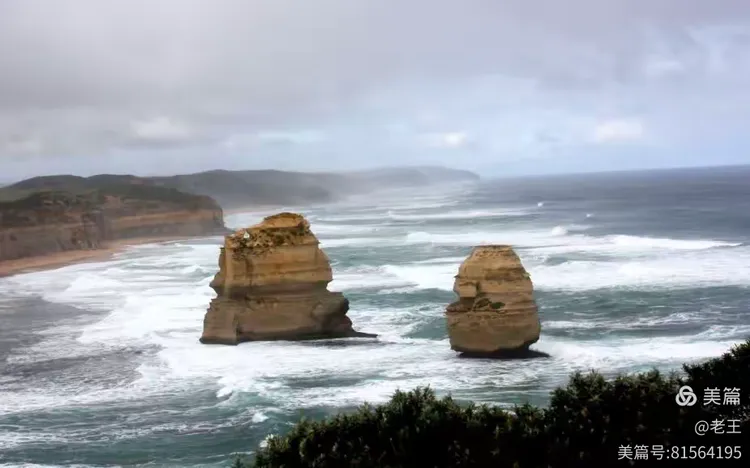 北欧和大洋洲国家在世界体育舞台上彰显实力的简单介绍